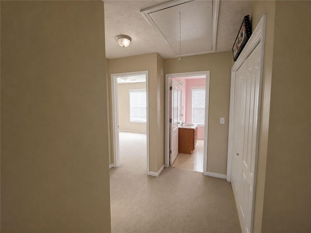 150 Adrians Lane Property Photo 21