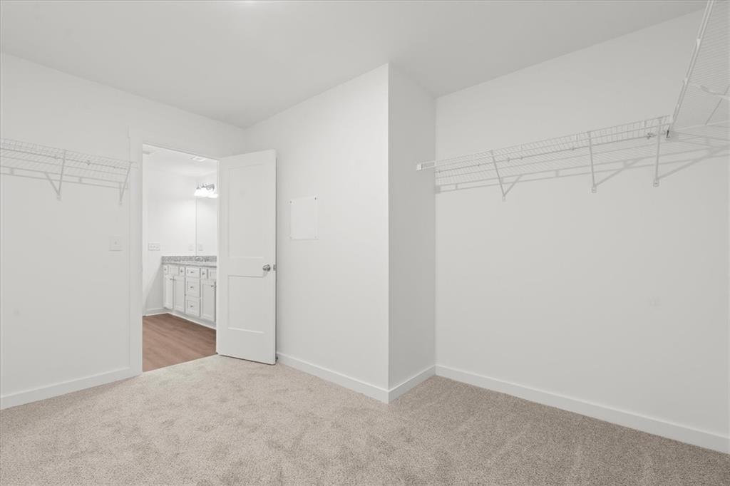 29 Edith Court Property Photo 26