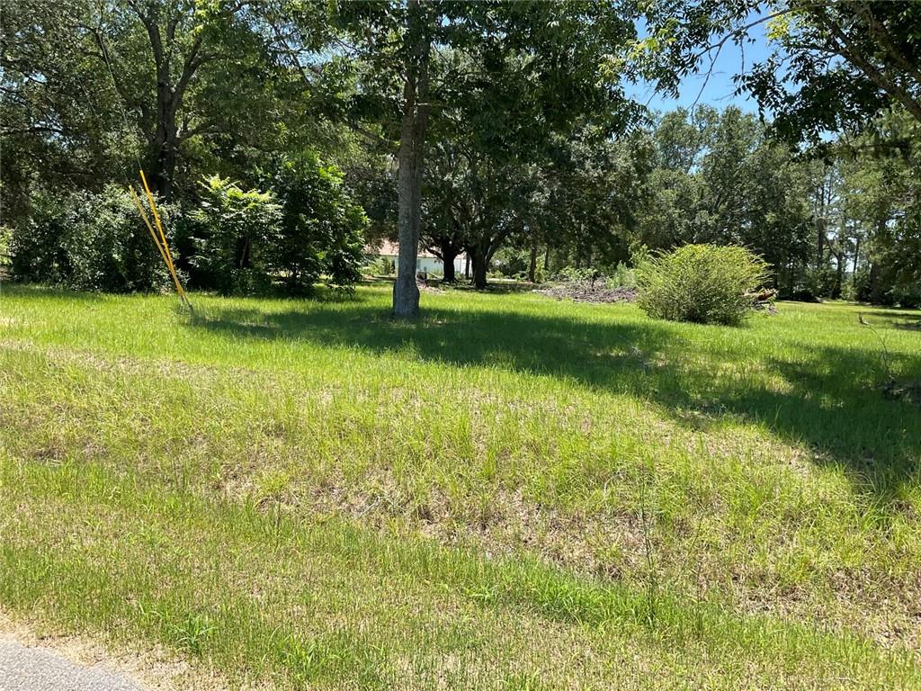 712 Sumner Road Property Photo 7