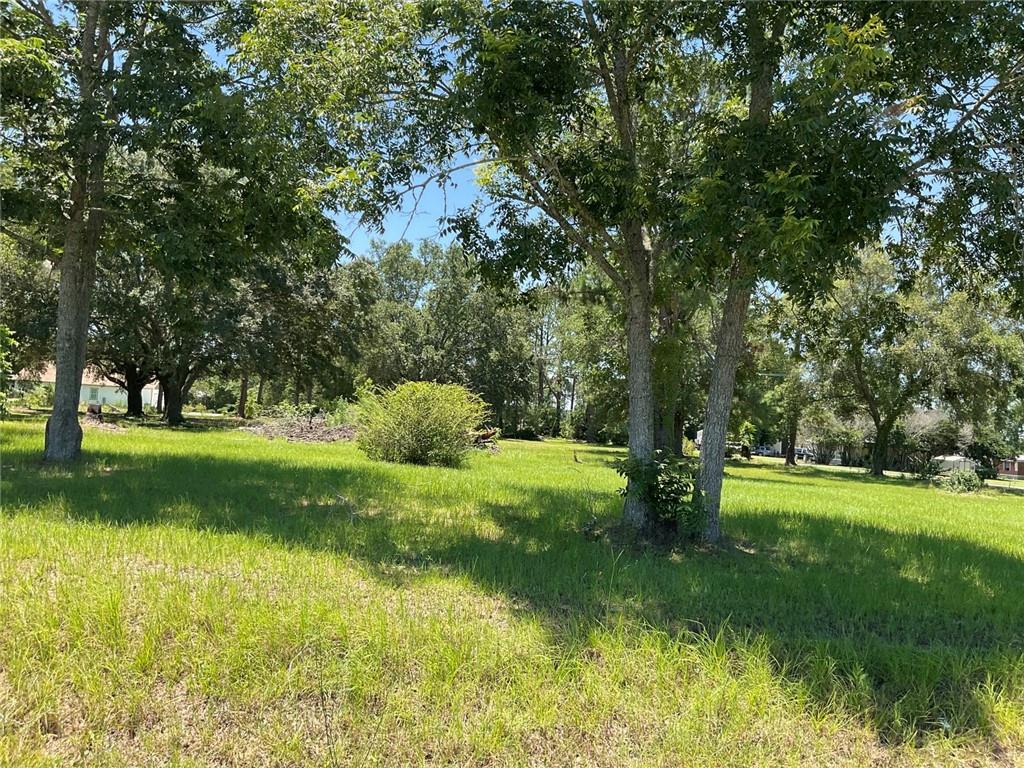 712 Sumner Road Property Photo 8