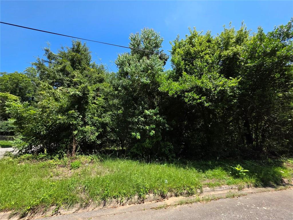 736 Peachtree Street Property Photo 2