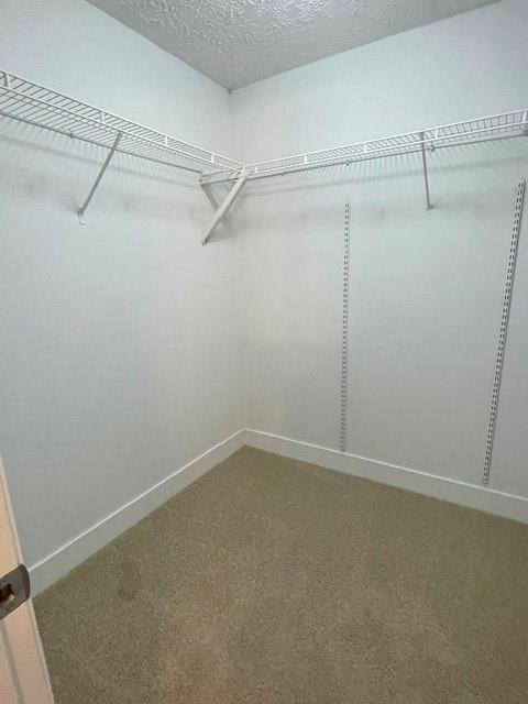 852 Pine Shadow Lane Property Photo 20