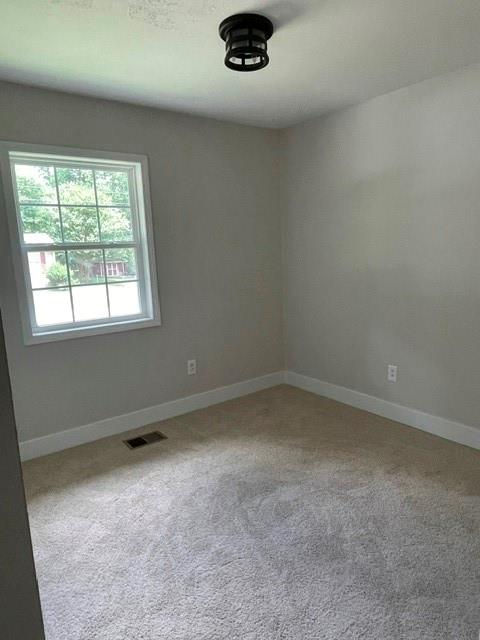 852 Pine Shadow Lane Property Photo 22