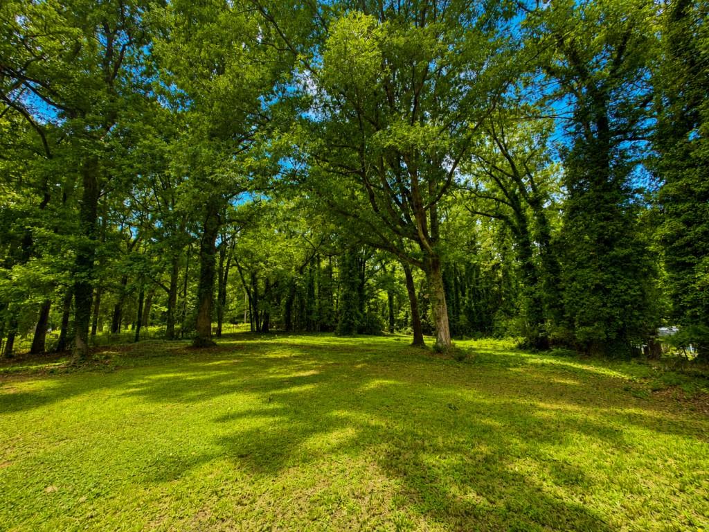 1441 Cahaba Drive Property Photo 8
