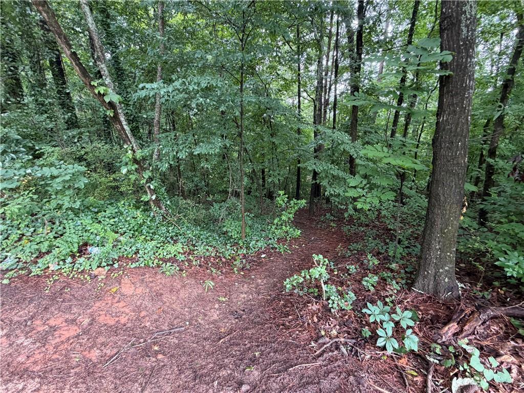 4650 Annistown Road Property Photo 6