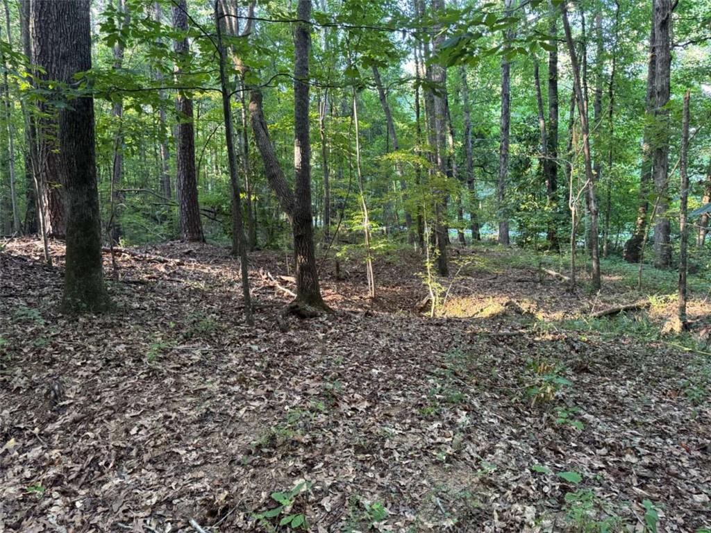 0 Lake Hampton Drive Property Photo 7