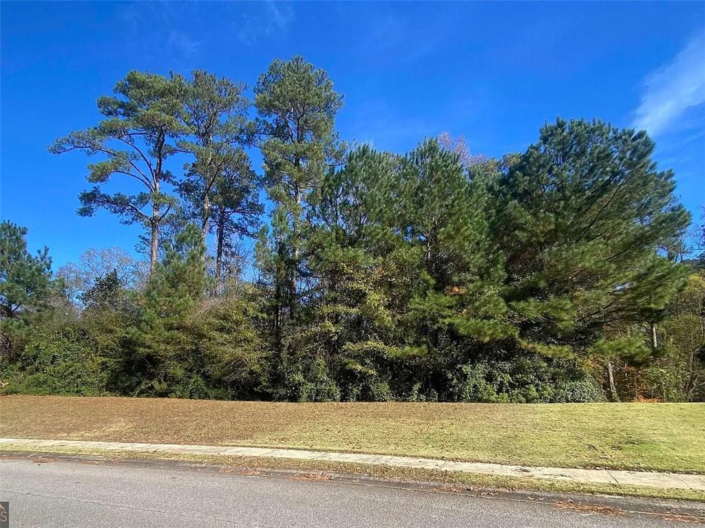 110 Morgan Drive Property Photo 1