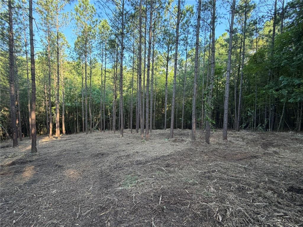 0 Lone Bear Path Property Photo 2