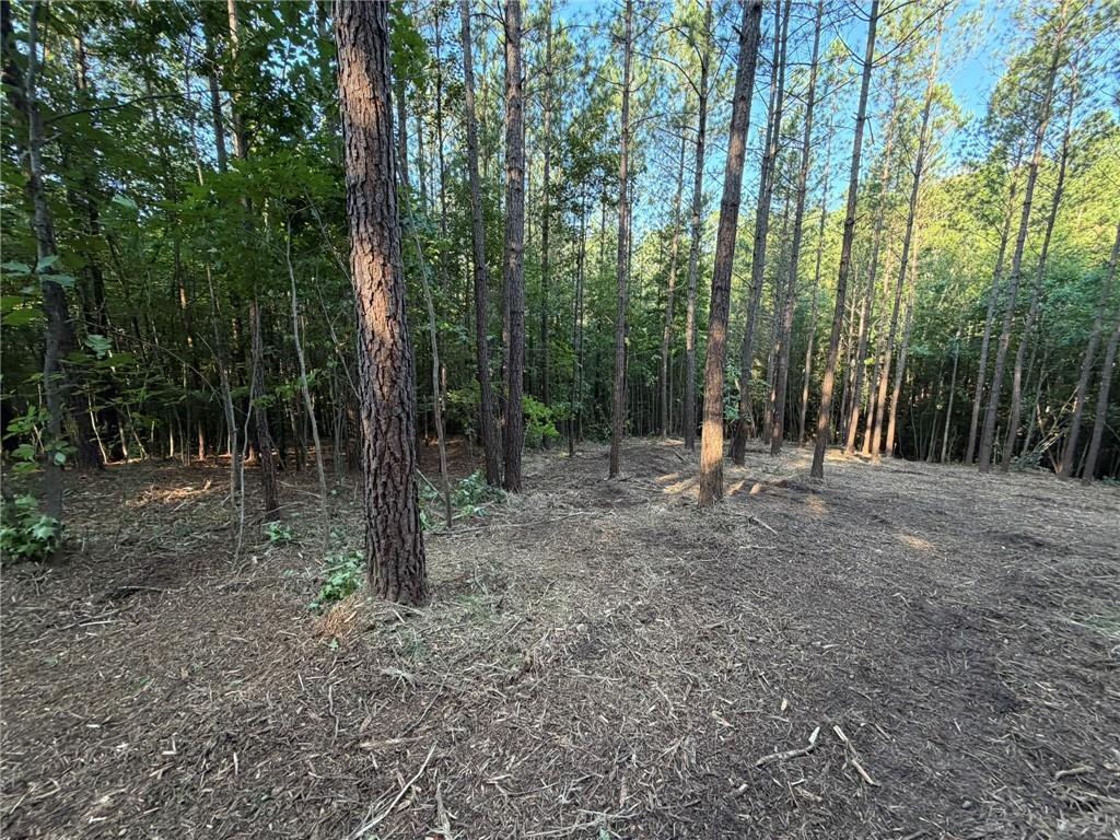 0 Lone Bear Path Property Photo 3
