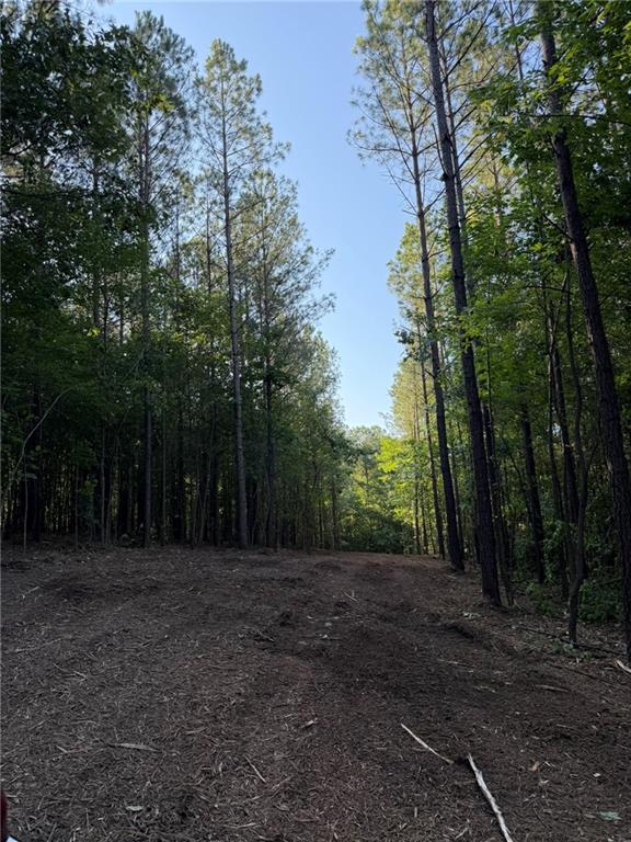 0 Lone Bear Path Property Photo 4