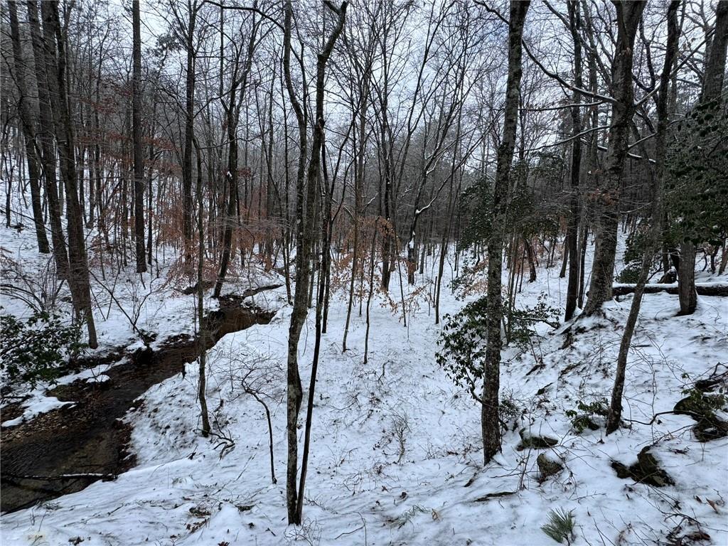 0 Lone Bear Path Property Photo 7