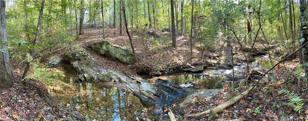 0 Lone Bear Path Property Photo 8