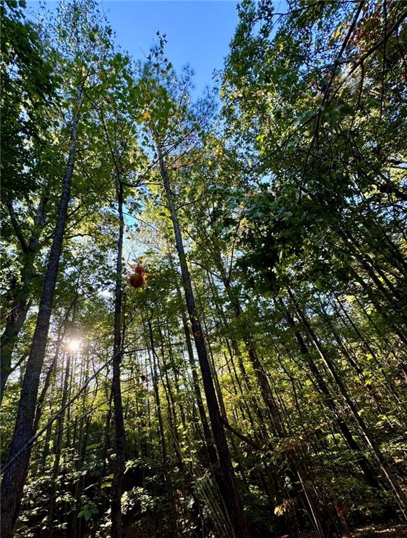 0 Lone Bear Path Property Photo 9