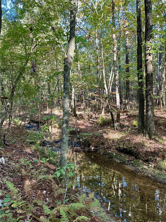 0 Lone Bear Path Property Photo 10