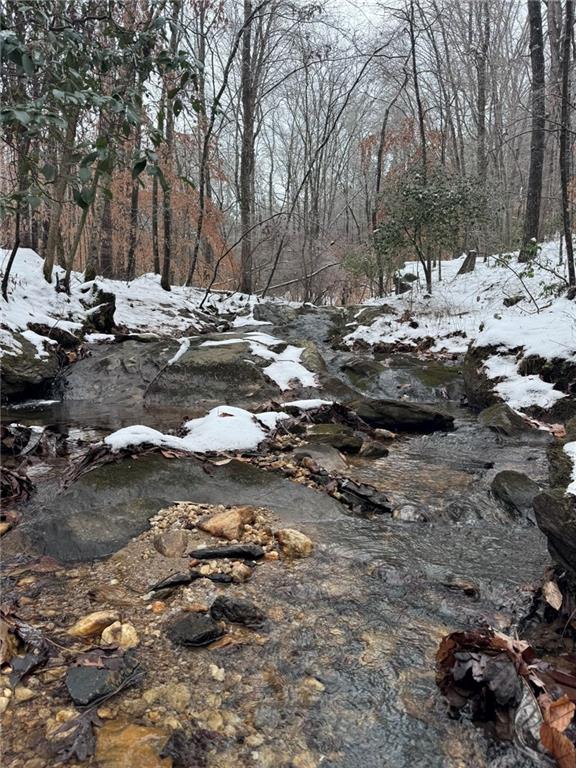 0 Lone Bear Path Property Photo 11