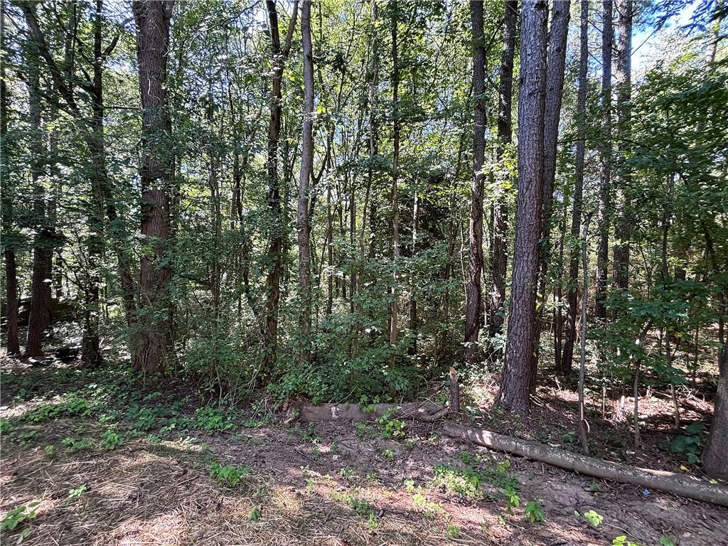 27 Carrington Trace Ne Property Photo 42