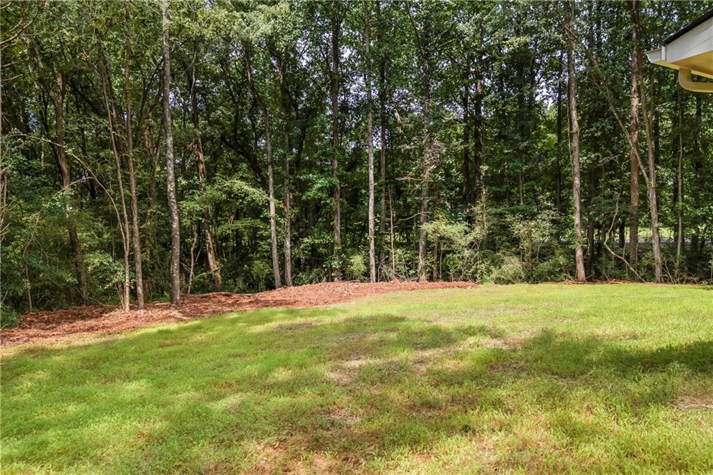 36 Tremont Drive Property Photo 53