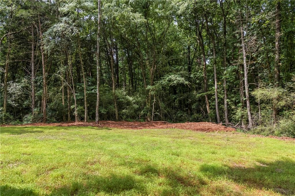 36 Tremont Drive Property Photo 54