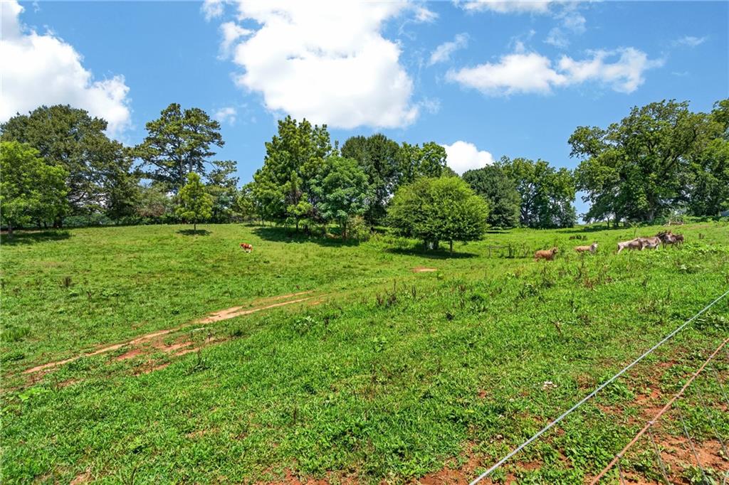14155 Hwy 106 Property Photo 43