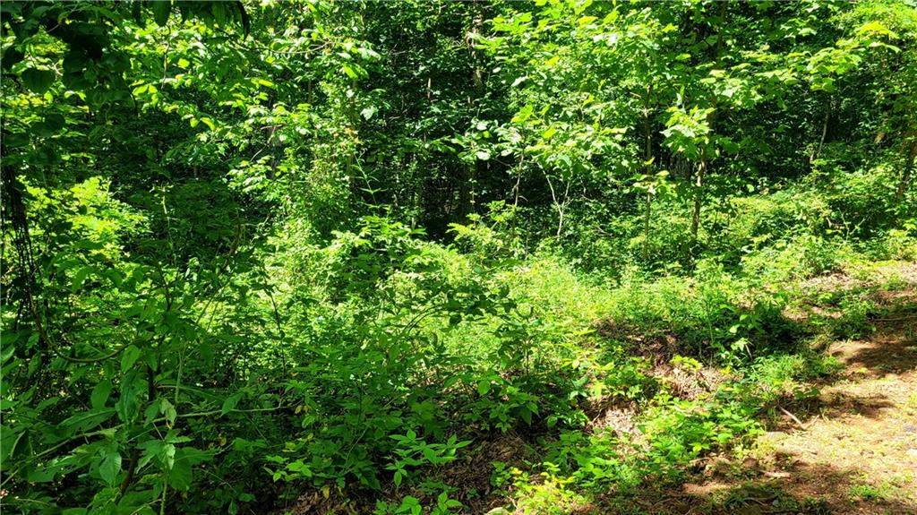 0 High Cliff Road Property Photo 2