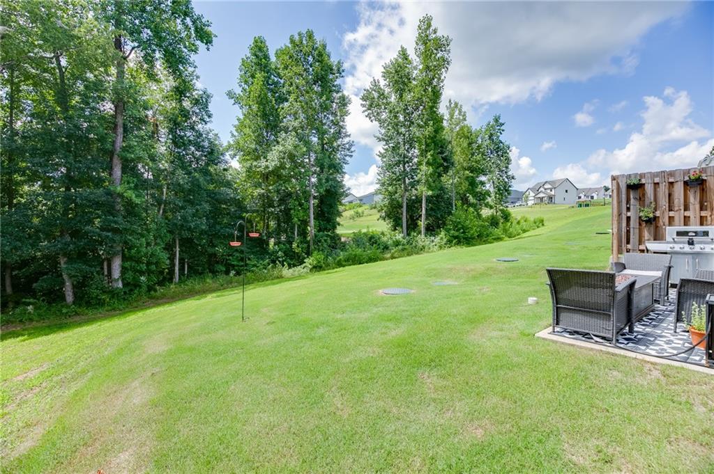 124 Greenview Court Property Photo 34