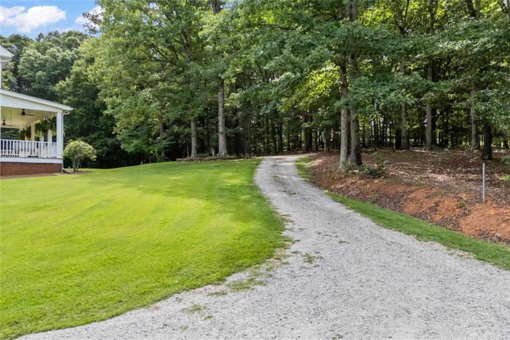 3040 Venable Lane Property Photo 7