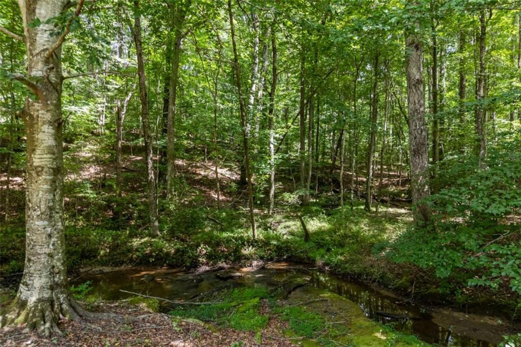 3040 Venable Lane Property Photo 93