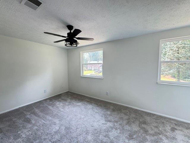 5180 Stone Trace Property Photo 11