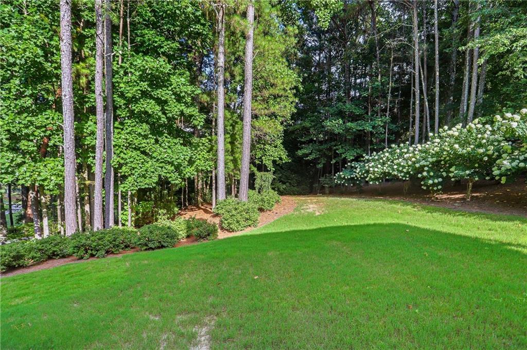 1836 Heritage Pass Property Photo 53