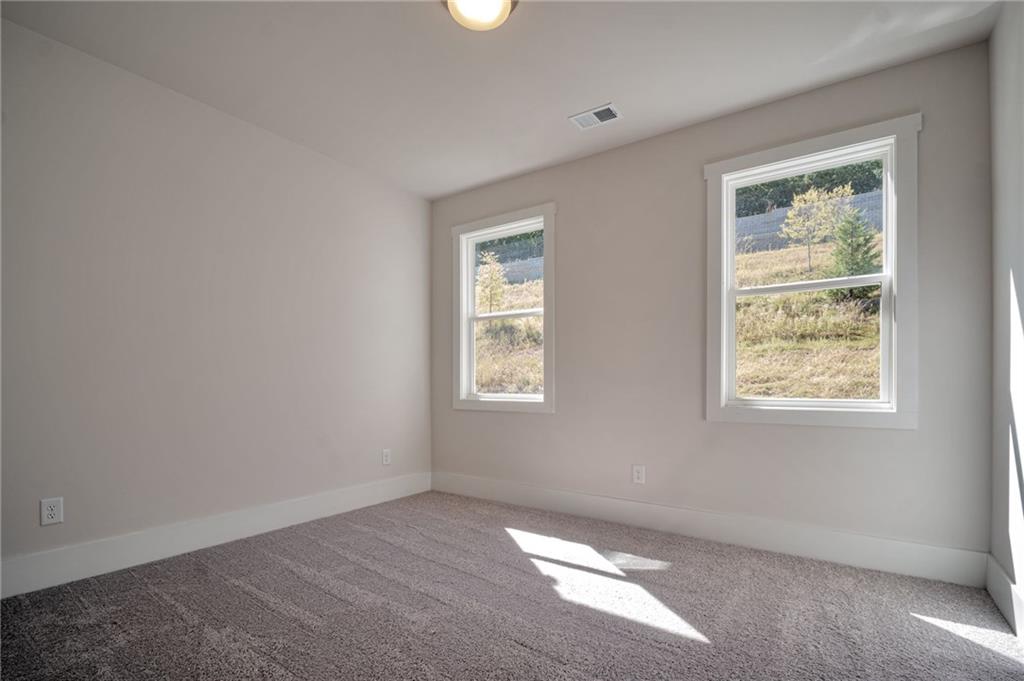 317 Willow Cove Property Photo 22
