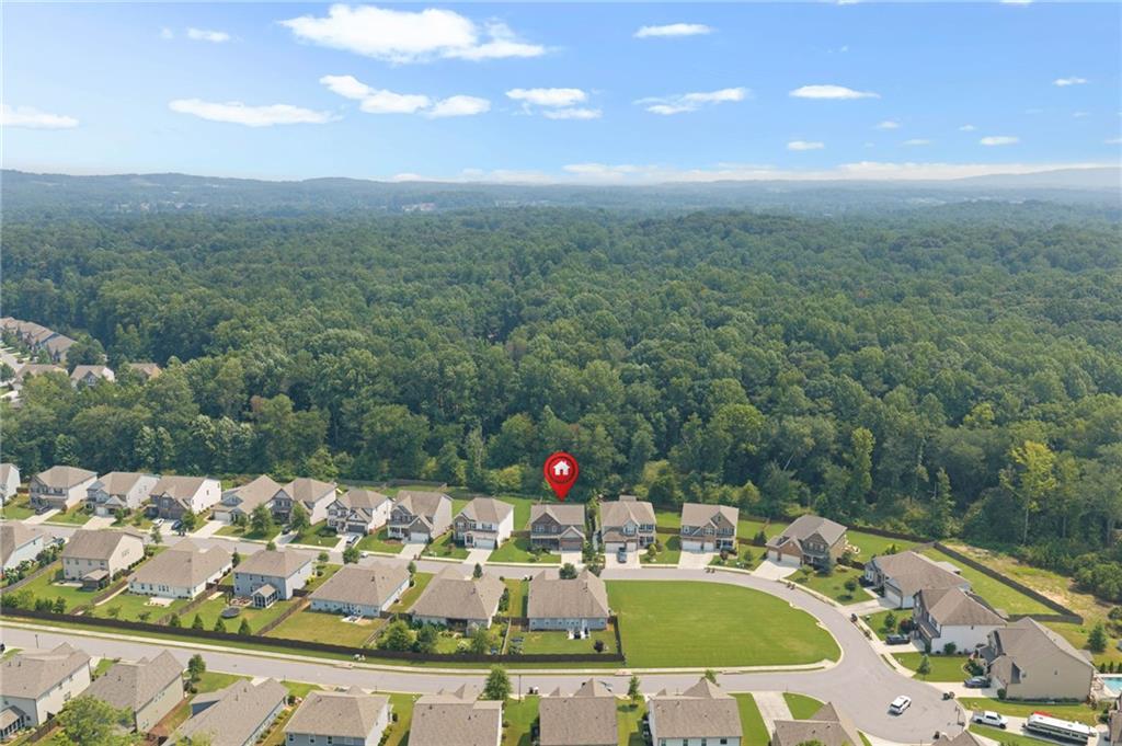 6295 Privet Way Property Photo 3