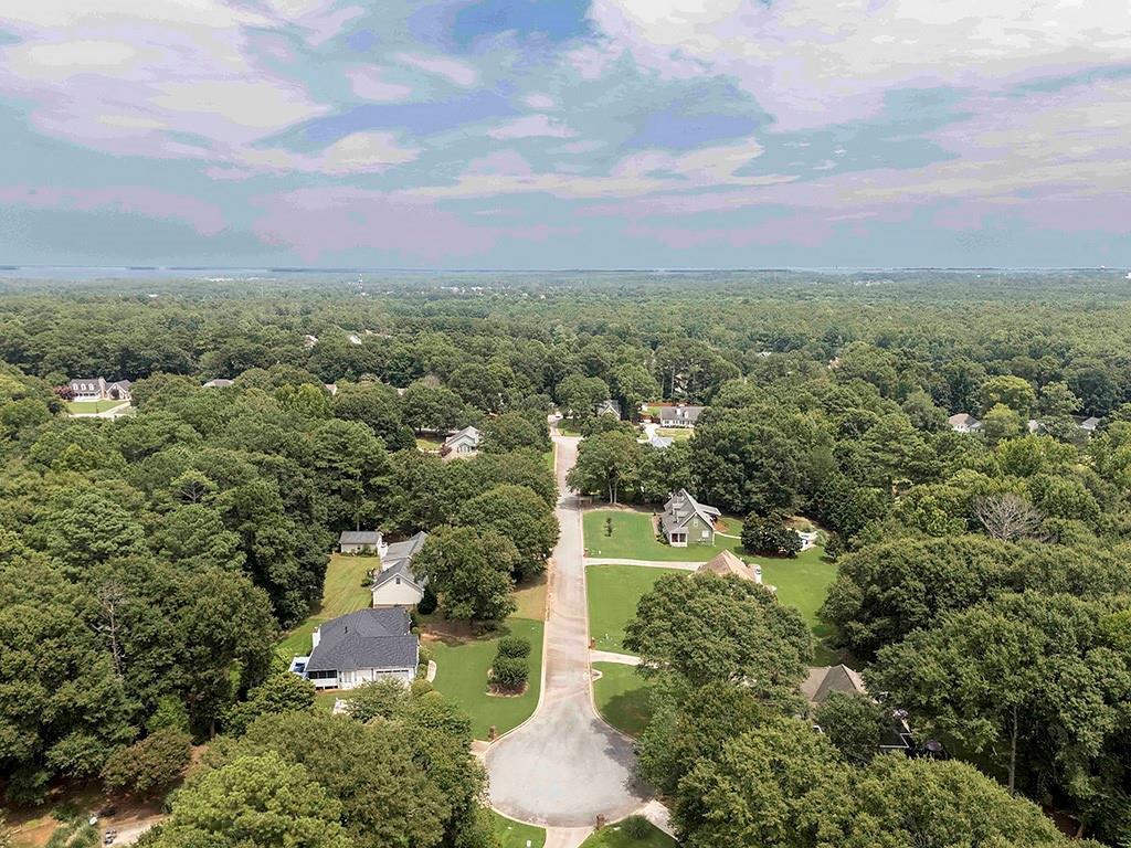 217 Leighs Trace Property Photo 41