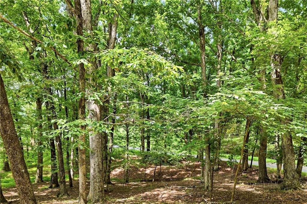 35 Quail Walk Property Photo 35