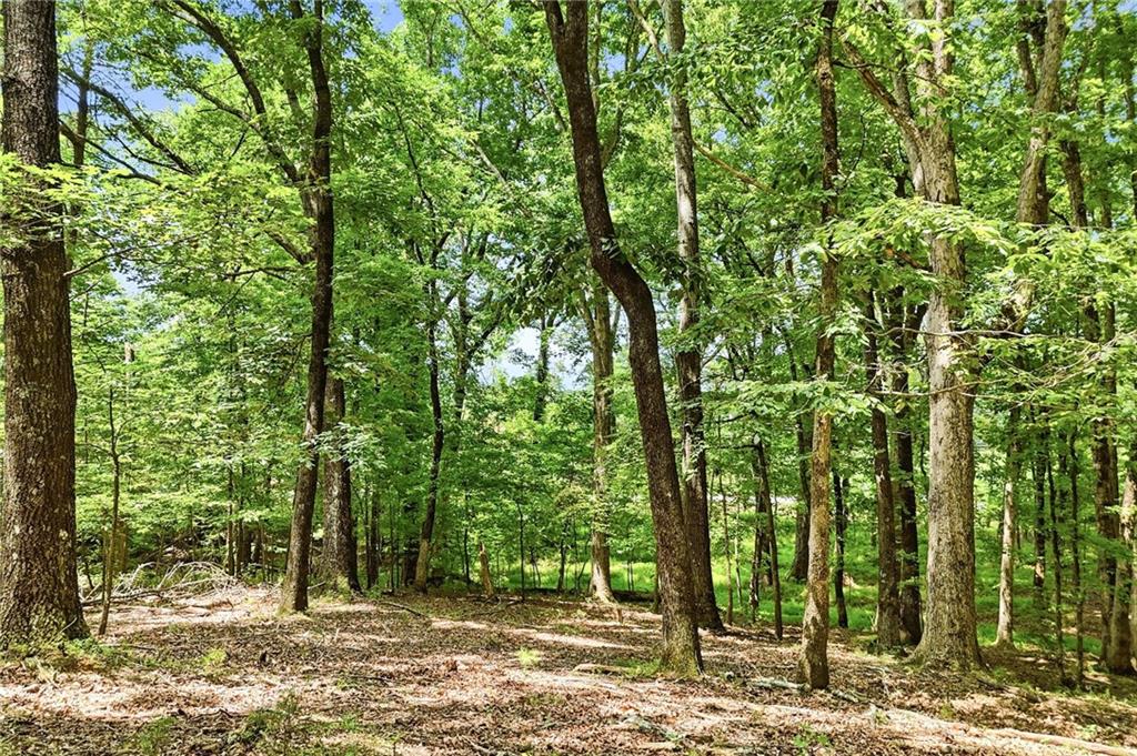35 Quail Walk Property Photo 38