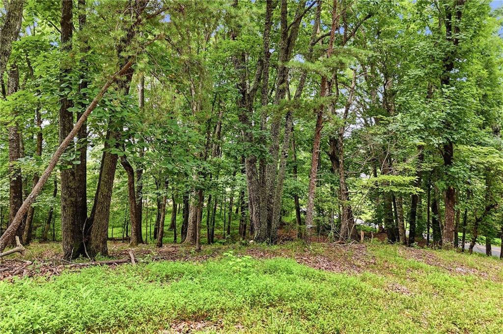 35 Quail Walk Property Photo 39
