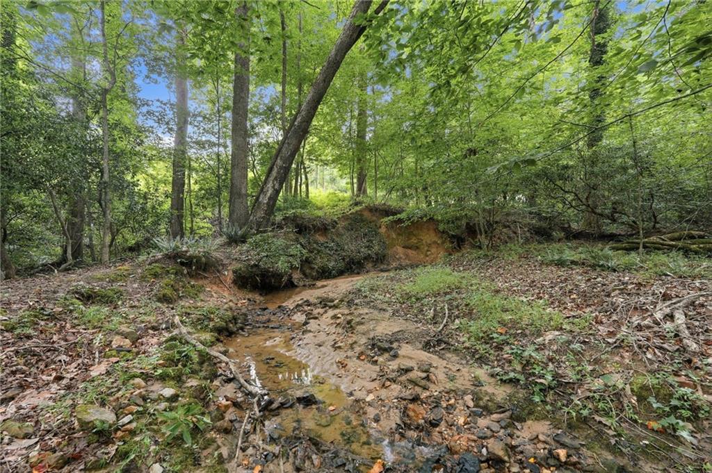 3651 Ledan Road Property Photo 65