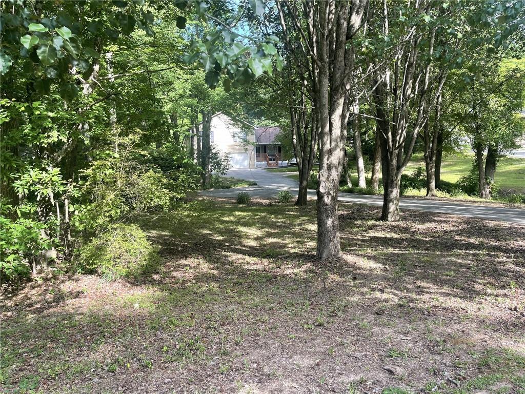 96 Frances Drive Property Photo 89