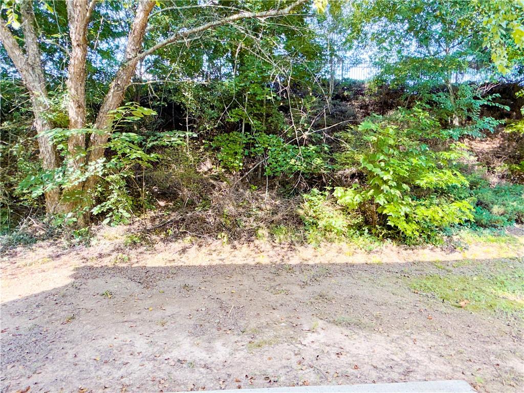 5415 Falls Landing Drive Property Photo 33