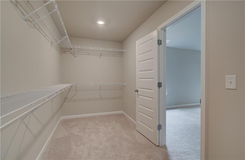 1152 Bodega Loop Property Photo 22
