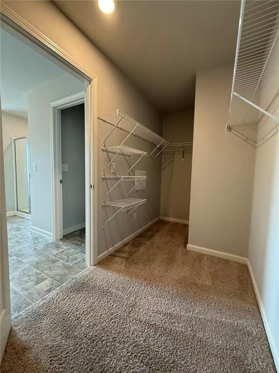 173 Wayside Terrace Property Photo 19