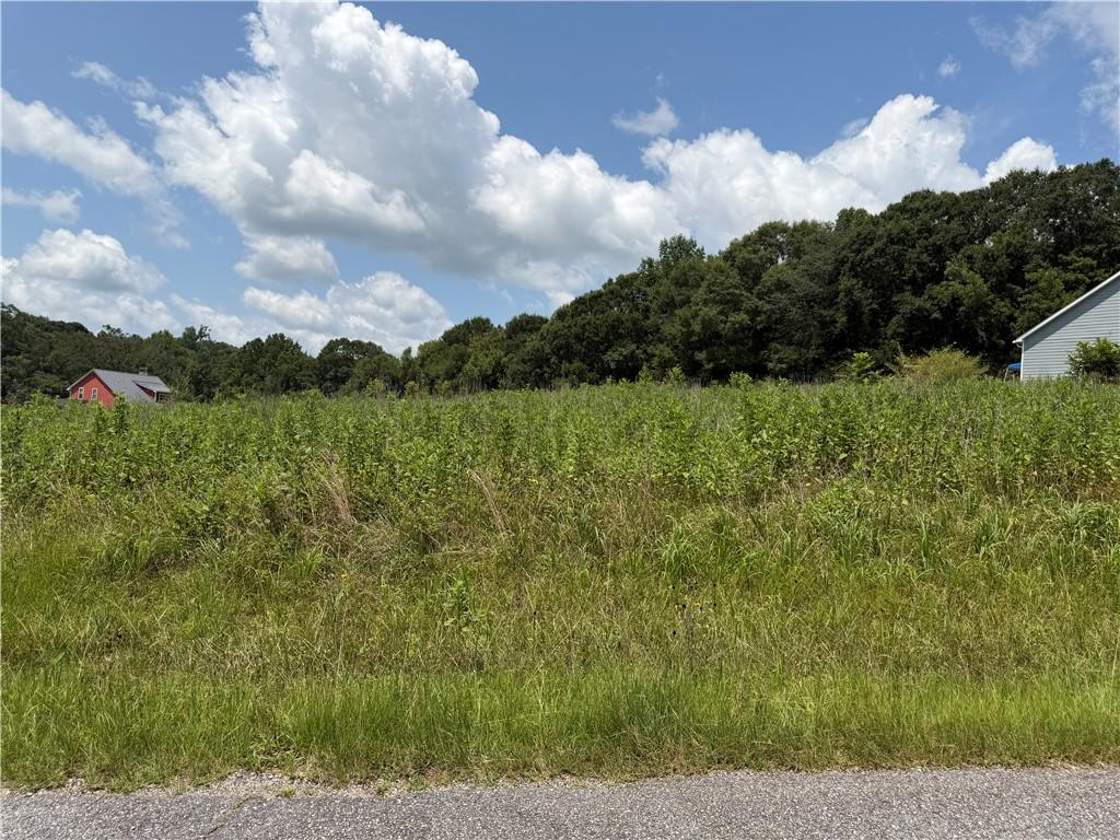 0 Middle Fork Lane Property Photo 6