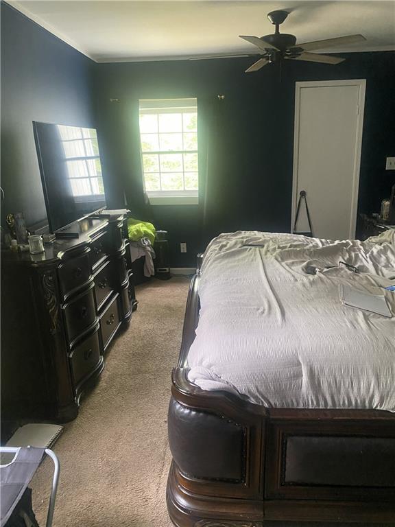 155 Alton Road Property Photo 4