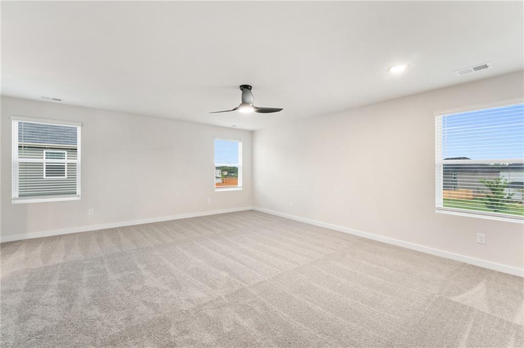 719 Coneflower Way Property Photo 12