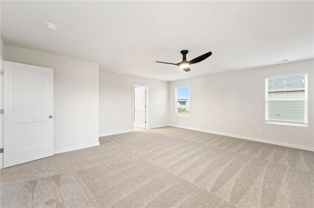 719 Coneflower Way Property Photo 13