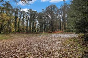 883 Mountain View Drive Property Photo 9
