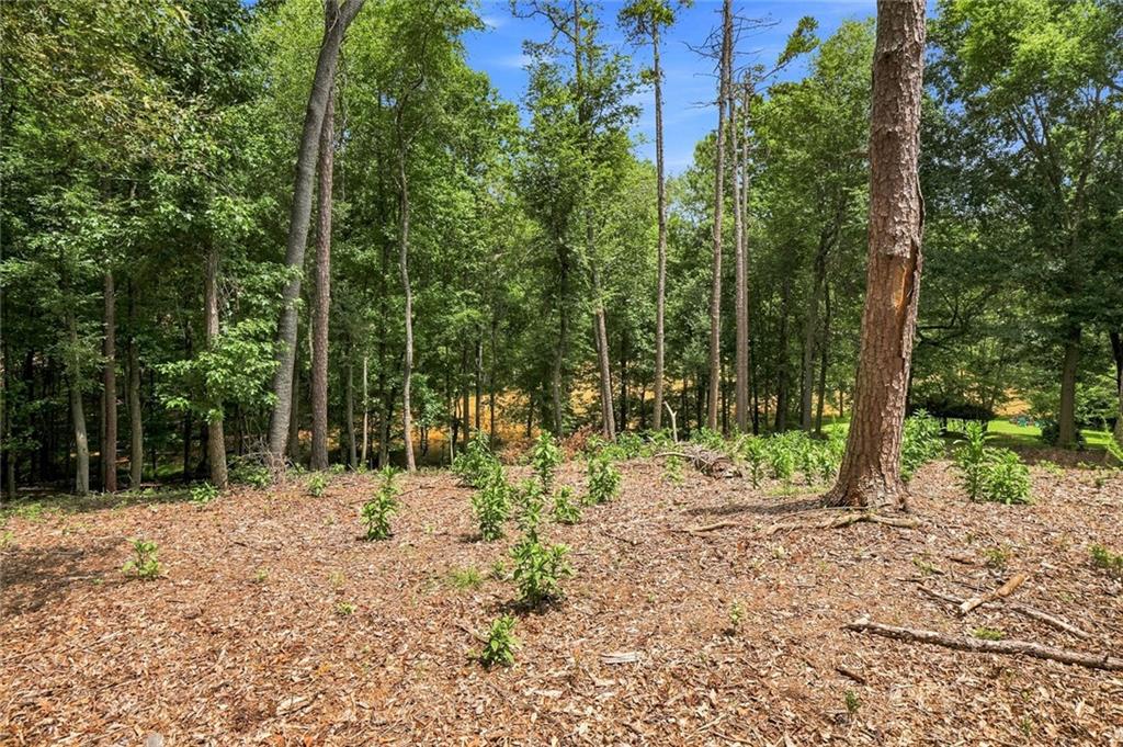 2045 Southers Circle Property Photo 37