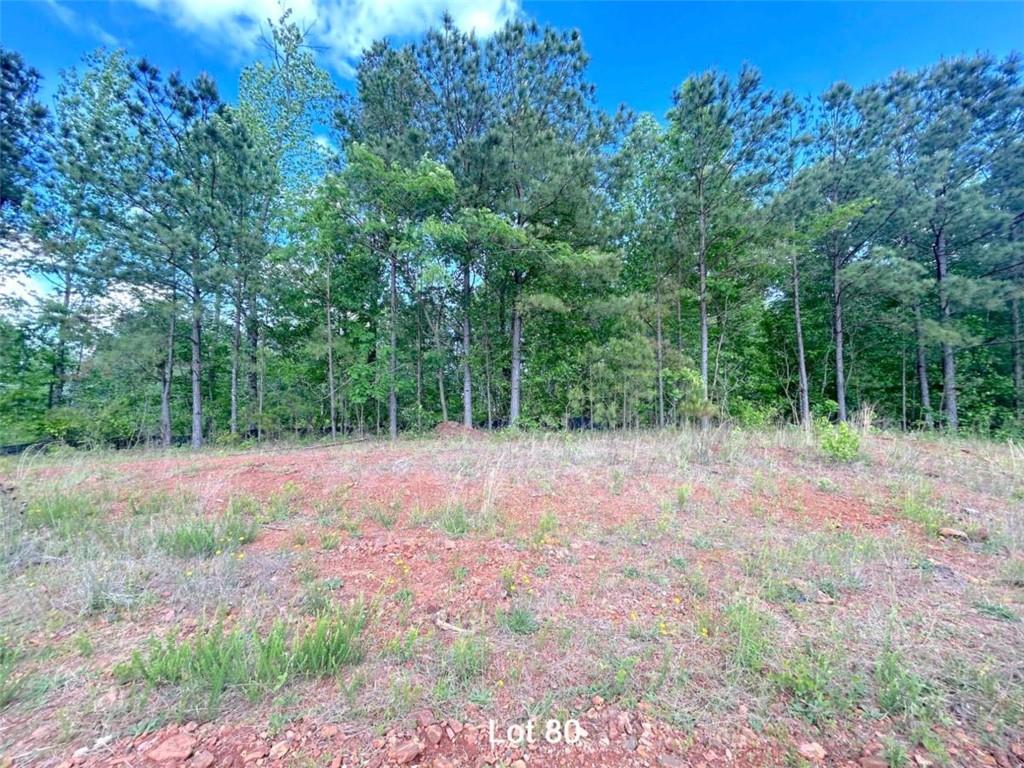 172 Oakdale Way Property Photo 3