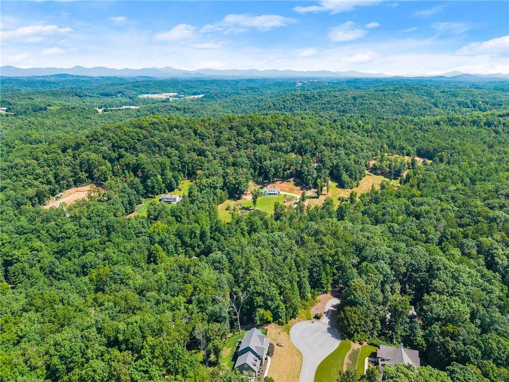 0 Flat Rock Point Property Photo 2