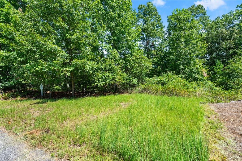 0 Flat Rock Point Property Photo 3