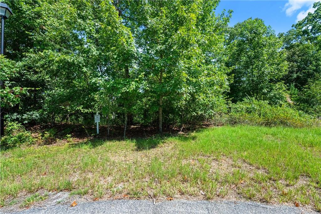 0 Flat Rock Point Property Photo 4